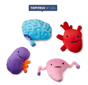 Organes en peluche